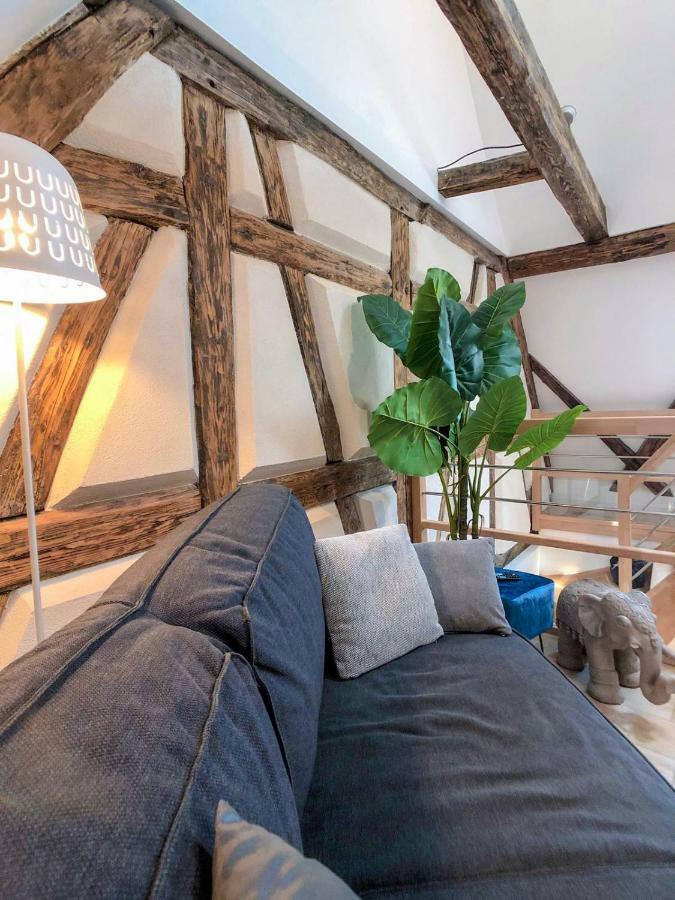 Beauty & The Beast - Old Town Cosy Apartments Colmar Exteriör bild